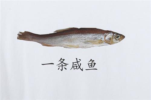 快穿咸鱼吃瓜,快穿世界笑翻天