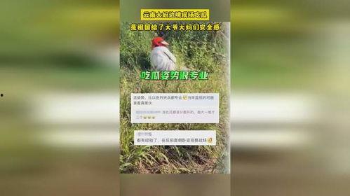 边境吃瓜大爷大妈